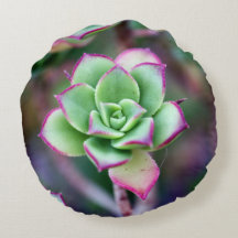 Groene en Fuchsia Succulent Plant Round Pillow
