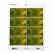 Groene en Gold Electronic Computer Circuit Board Etiket (Full Sheet)