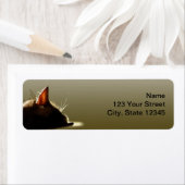 Groene en Grijze Kat Nap Etiket (Insitu)