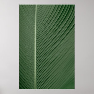 Groene en witte gestreepte textielstof poster