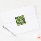 Groene en witte gestreepte visbladeren vierkante sticker (Envelop)