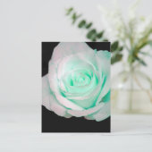 Groene en witte roos. briefkaart (Staand voorkant)