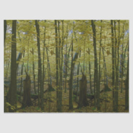 Groene en zwarte bomen tissue papier