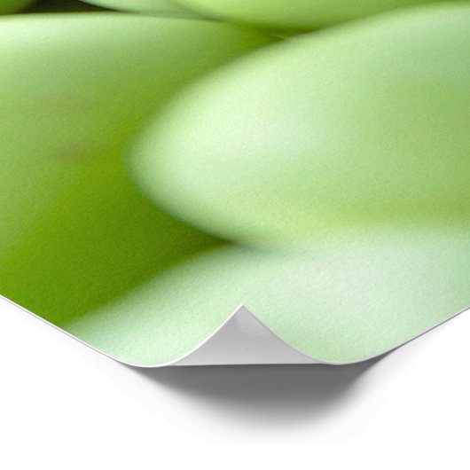 Groene erwten poster (Hoek)