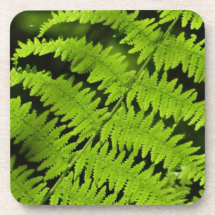 Groene fern bier onderzetter