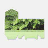  groene Fern Favor Box Bedankdoosjes (Uitgevouwen)