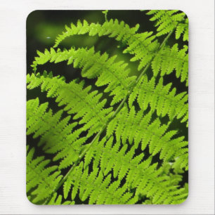 Groene fern muismat