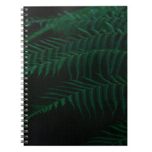 GROENE FERN-PLANT IN DICHTERE FOTOGRAFIE NOTITIEBOEK