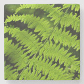 Groene fern stenen onderzetter (Voorkant)