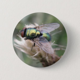 Groene flacon met Macro-Button Ronde Button 5,7 Cm
