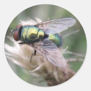 Groene flacon met Macro-Sticker Ronde Sticker