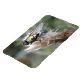 Groene fles met macropremium Magnet Magneet (Linkerzijde)