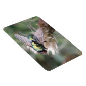 Groene fles met macropremium Magnet Magneet (Rechterzijde)