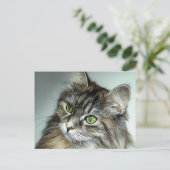 Groene geverfde kattenolie briefkaart (Staand voorkant)