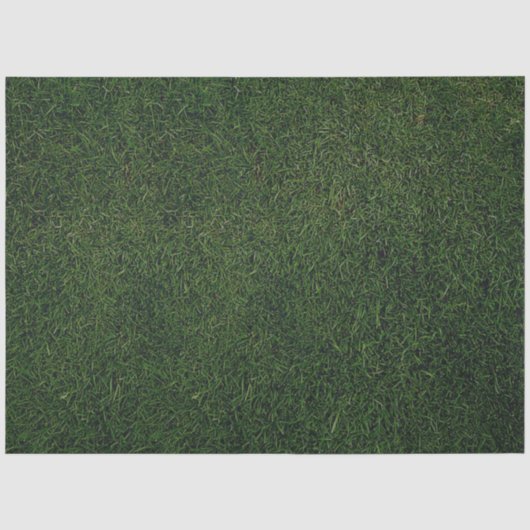 Groene gras achtergrond tissuepapier (Voorkant)
