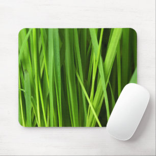 Groene gras, Grass Background, Leaf, Leaves, Plant Muismat