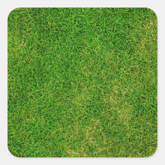 Groene gras Onderzetters Vierkante Sticker (Voorkant)