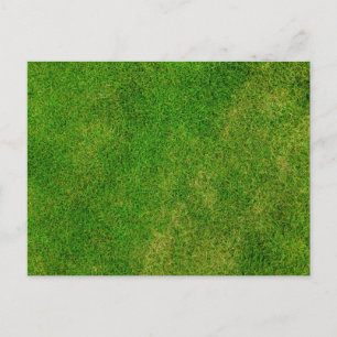 Groene Gras Textuur Briefkaart