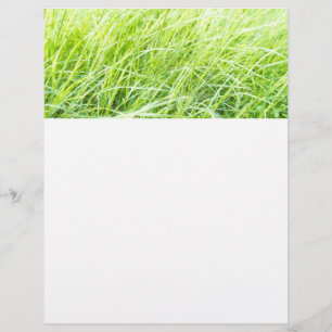Groene grass flyer