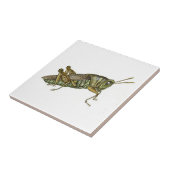 Groene Grasshopper Keramische Tegel Tegeltje (Zijkant)