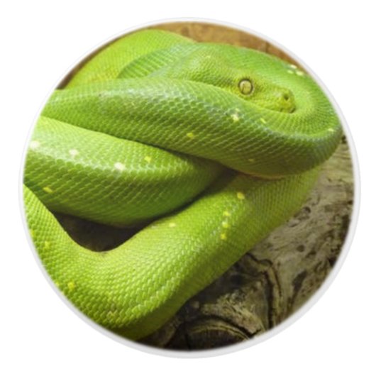 GROENE GRASSLANG KERAMISCHE KNOP (Voorkant)