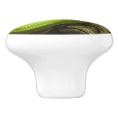 GROENE GRASSLANG KERAMISCHE KNOP (Zijkant)