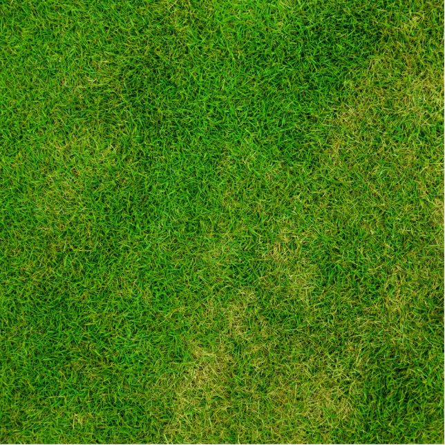 Groene grastextuur staand fotobeeldje  (Voorkant)