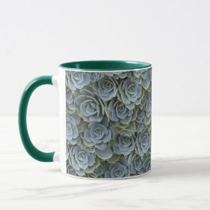 GROENE GRIJZE SUCCULENTE PLANT ROZETTEN MOK