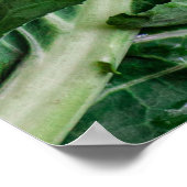 Groene groente poster (Hoek)