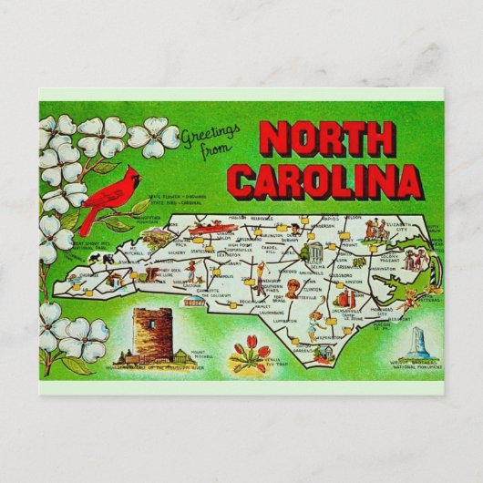 Groene groet uit North Carolina Briefkaart (Voorkant)
