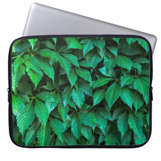 groene haag achtergrond parthenocissus patroon tek laptop sleeve
