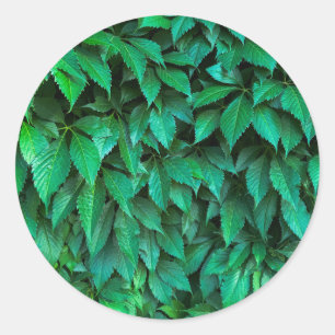 groene haag achtergrond ronde sticker