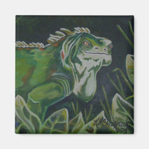 Groene hagedis Iguana magneet