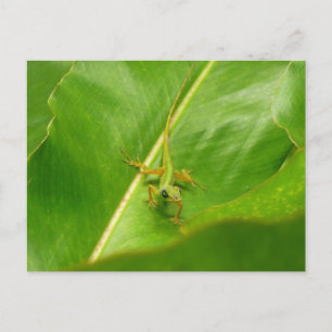 Groene hagedis op groen blad briefkaart