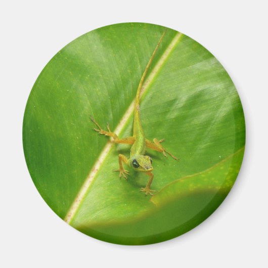 Groene hagedis op groen blad magneet (Voorkant)