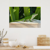 Groene hagedis Poster (Keuken)