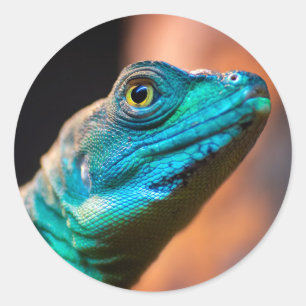 Groene hagedis ronde sticker