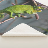 GROENE HAGEDIS SHERPA DEKEN (3/4)