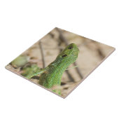 Groene hagedis tegeltje (Zijkant)