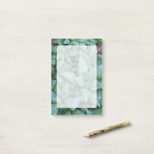 Groene Haworthia Succulent Plant Stickies Post-it® Notes (Op bureau)