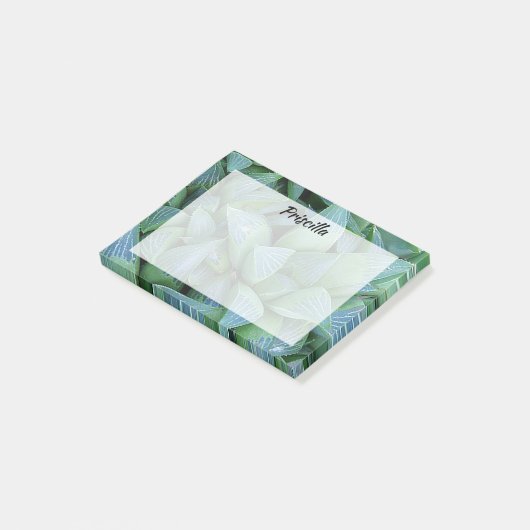 Groene hemlonia Succulent Plant Custom Stickies Post-it® Notes (Schuin)