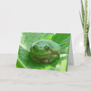 Groene het glimlachen Kikker - sluit omhoog Kaart
