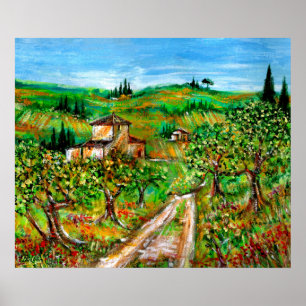 Groene heuvels en olijfbomen landschap Toscane Poster