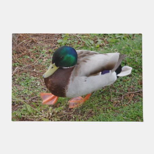 Groene hoofd eend deur mat (Voorkant)