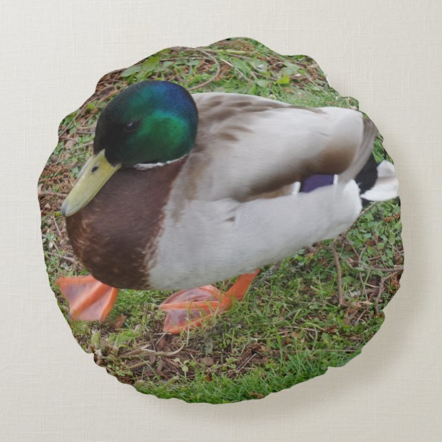 Groene Hoofd Eend Rond Kussen (Achterkant)