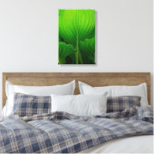 Groene Hosta Bladeren Canvas Afdruk (Insitu (Slaapkamer))