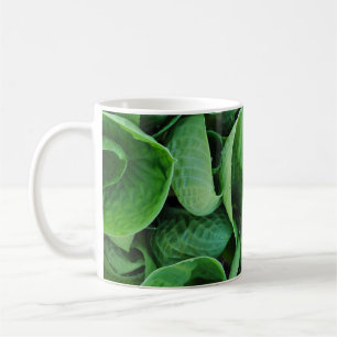 Groene hosta-bladeren koffiemok