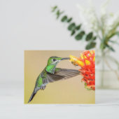 Groene Hummingbird & Bee Briefkaart (Staand voorkant)