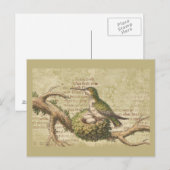Groene Hummingbird Nest Eggs Branch Briefkaart (Voorkant / Achterkant)