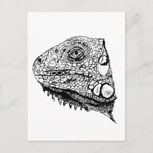 Groene iguana briefkaart (Voorkant)
